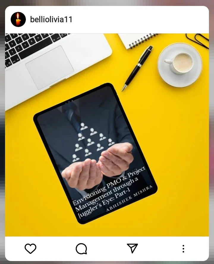 PMO & Project Management through a Juggler's Eye: Part-1 — eLocalshop