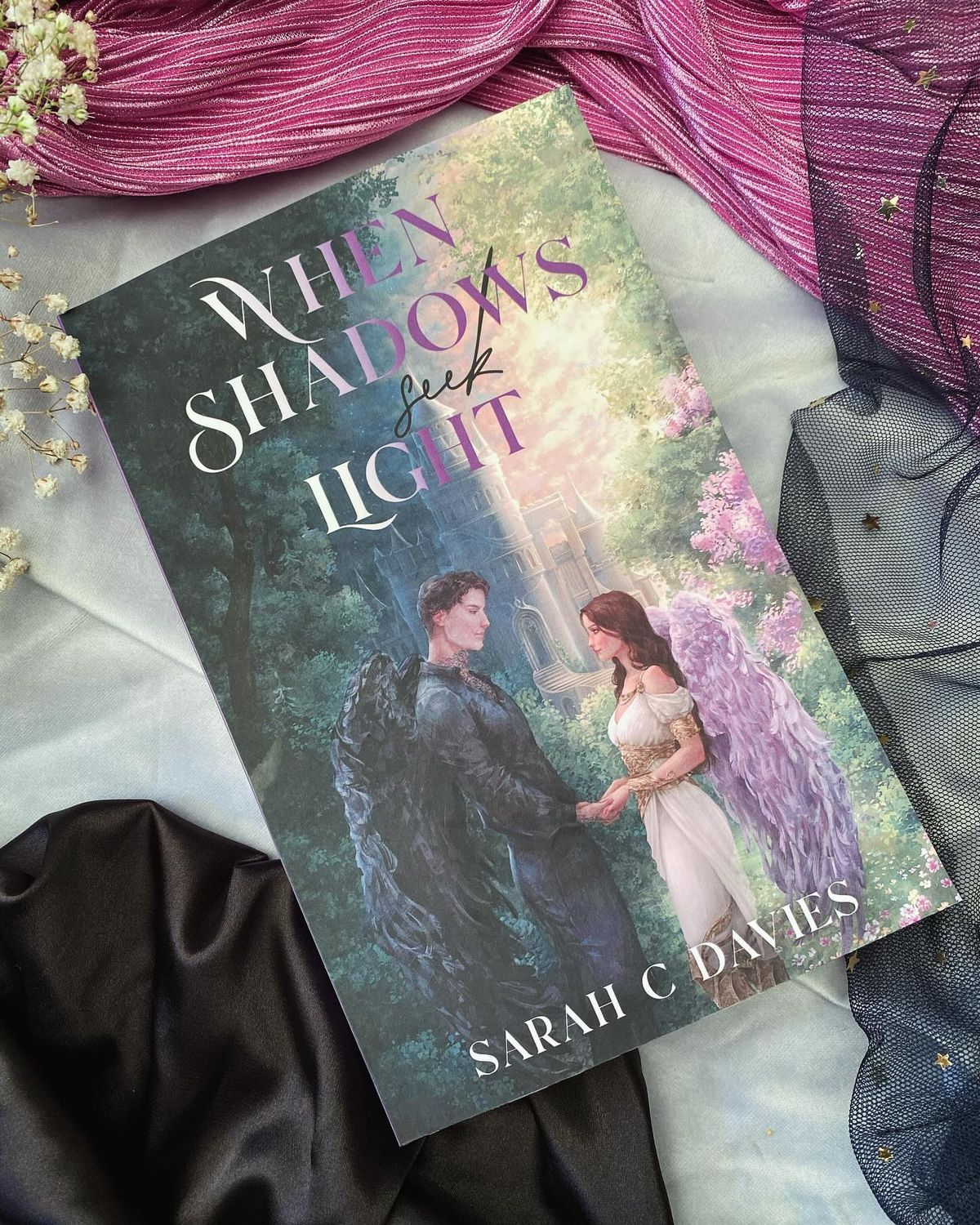 WHEN SHADOWS SEEK LIGHT - Sarah C. Davies