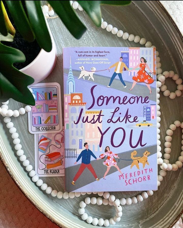 SOMEONE JUST LIKE YOU - Meredith Schorr