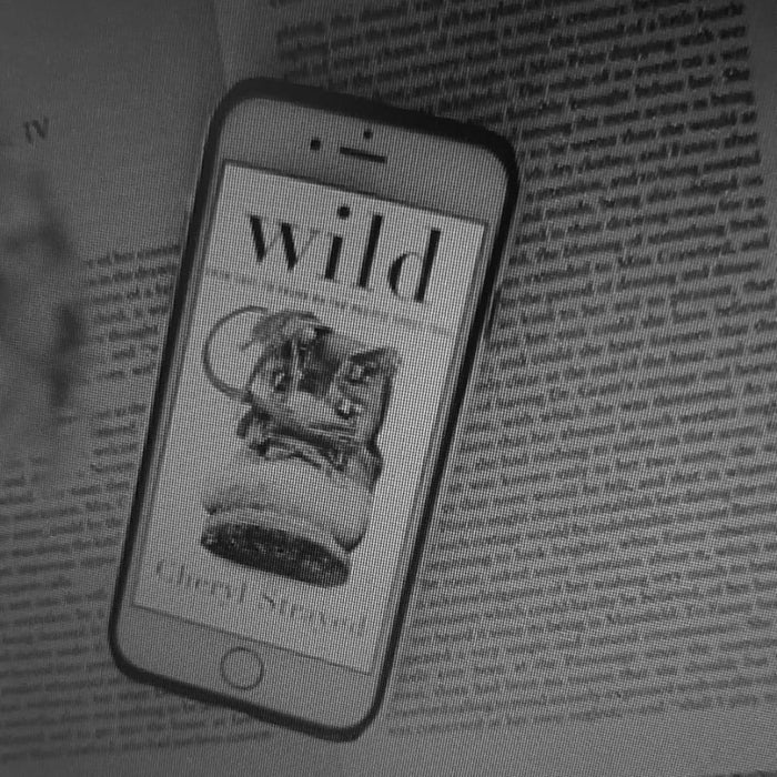 Wild: From Lost to Found on the Pacific Crest Trail by Cheryl Strayed