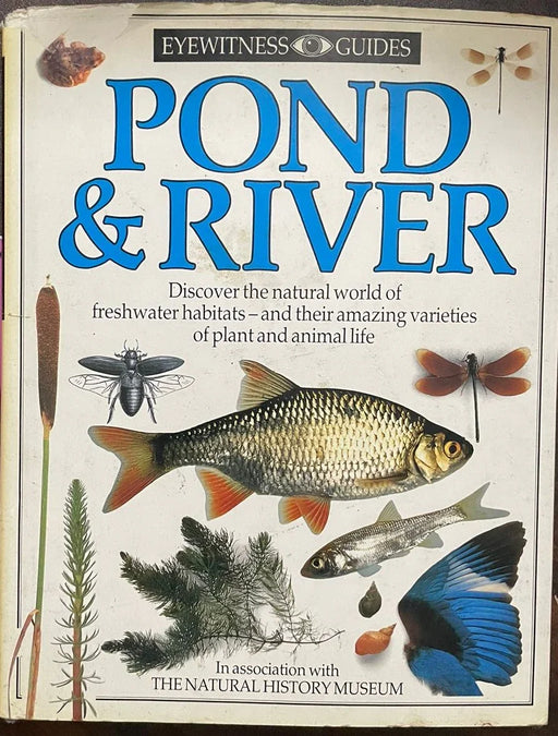 Pond & River by Paul Whalley - eLocalshop