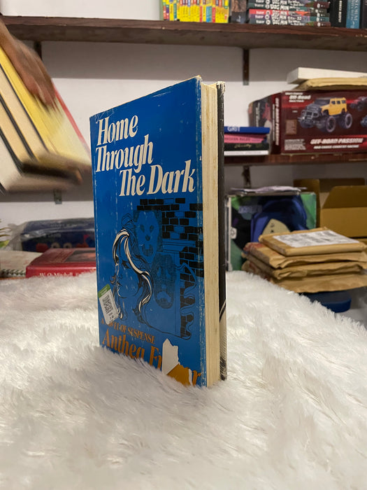 Home Through the Dark: A Novel of Suspense - old hardcover