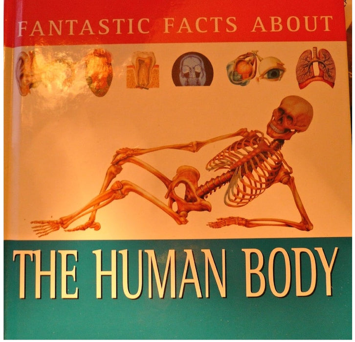 Human Body (Fantastic Facts S.) Old book
