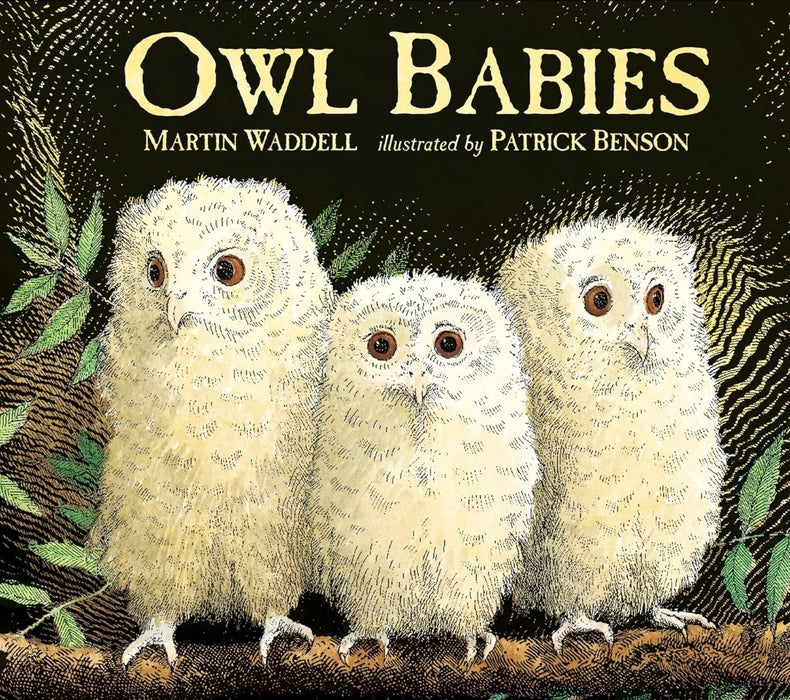 Owl Babies by Martin Waddell - old paperback