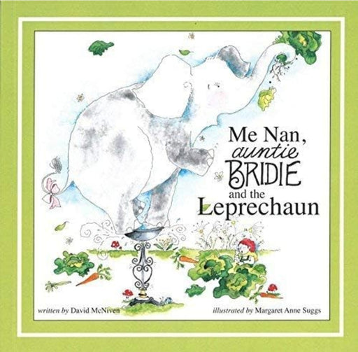 Me Nan Antie Bridie and the Leprechaun - old paperback - eLocalshop