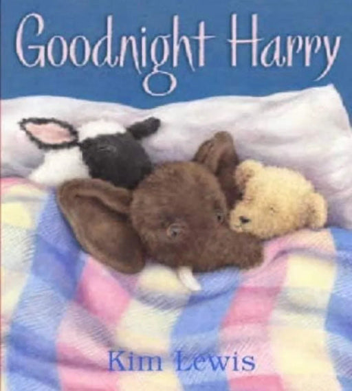 Goodnight Harry by Kim Lewis - old hardcover - eLocalshop