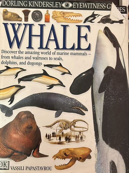 DK Eyewitness Guides: Whale by Vassili Papastavrou - old hardcover - eLocalshop