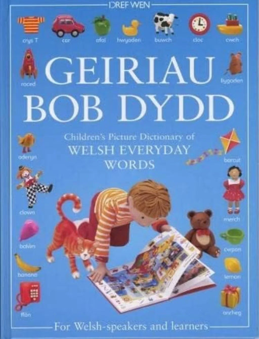 Geiriau Bob Dydd - Children's Picture Dictionary of Welsh Everyday Words - old hardcover - eLocalshop
