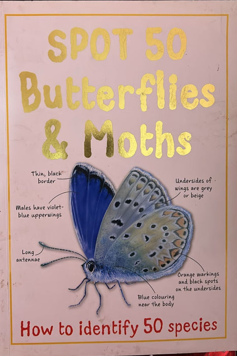 Spot 50 Butterflies and Moths by Belinda Gallagher - old paperback - eLocalshop