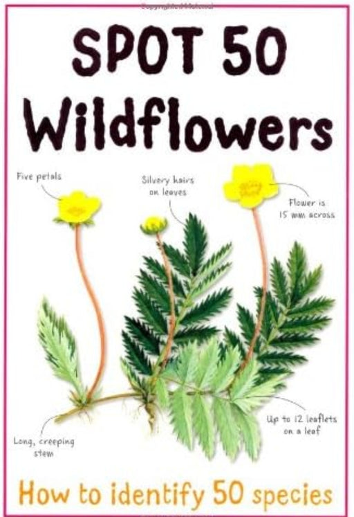 Spot 50 Wild Flowers by Camilla De la Bedoyere - opd hardcover - eLocalshop