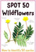 Spot 50 Wild Flowers by Camilla De la Bedoyere - opd hardcover - eLocalshop