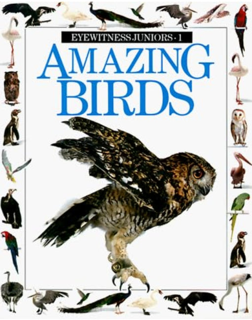 Amazing Birds (Eyewitness Junior) by Dorling Kindersley - old hardcover - eLocalshop
