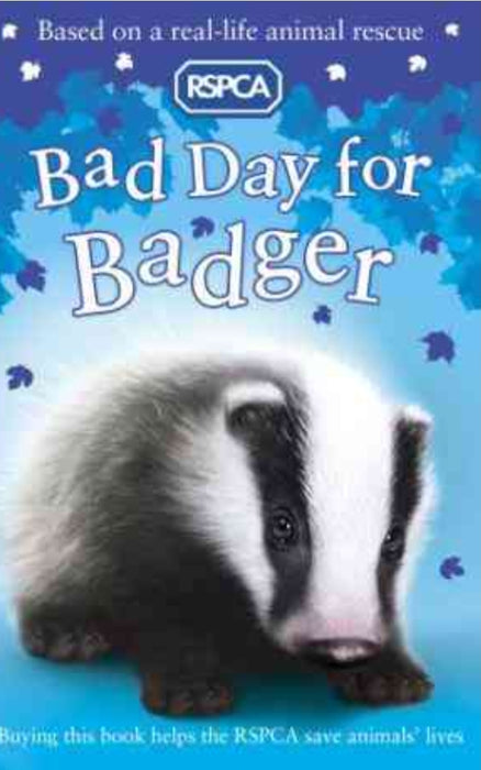 Bad Day for Badger by Sarah Hawkins - old paperback - eLocalshop