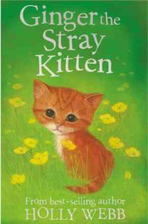 Ginger the Stray Kitten by Holly Webb - old paperback - eLocalshop