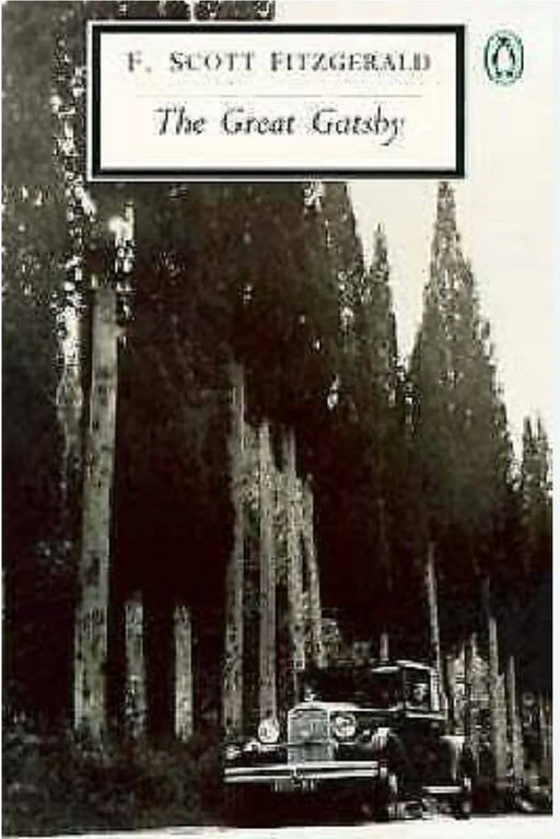 The Great Gatsby by F Scott Fitzgerald - old paperback - eLocalshop