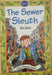 The Sewer Sleuth: A Tale of Victorian Cholera by Julia Jarman - old paperback - eLocalshop