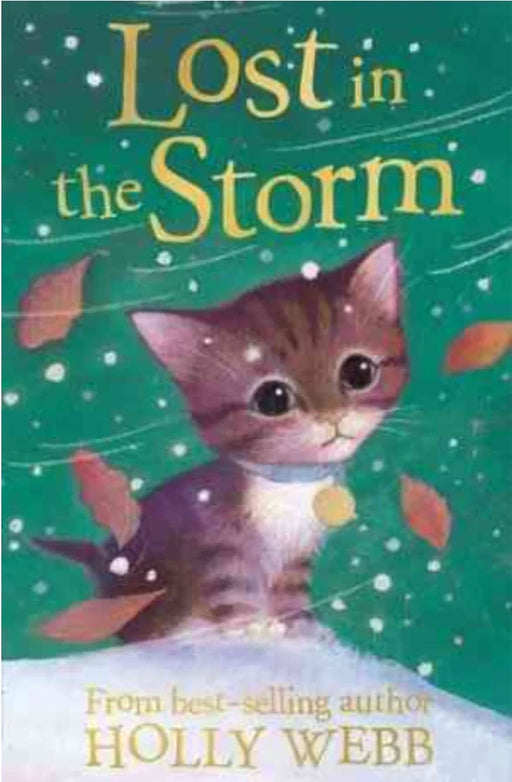 Lost in the Storm by Holly Webb - old paperback - eLocalshop