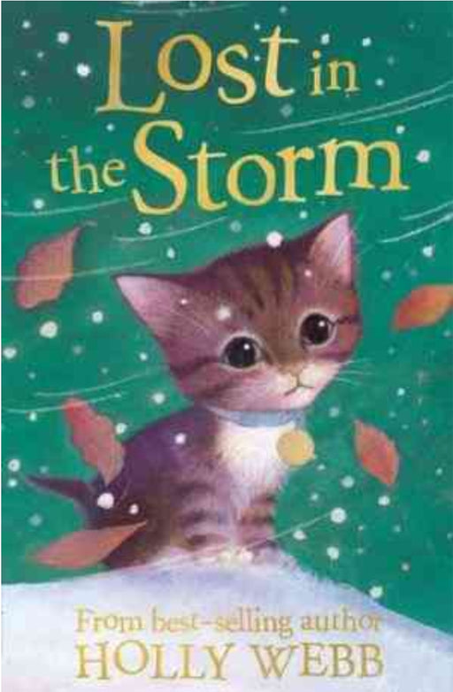Lost in the Storm by  Holly Webb - old paperback - eLocalshop