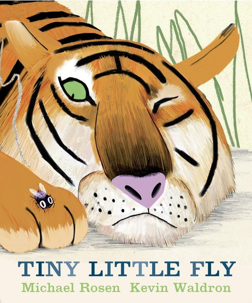 Tiny Little Fly by Michael Rosen - old paperback - eLocalshop
