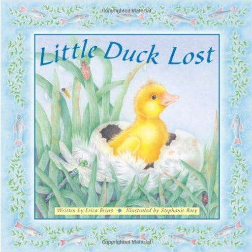Little Duck Lost by Erica Briers - old boardbook - eLocalshop