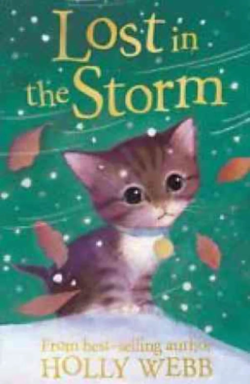 Lost in the Strom by Holly Webb - eLocalshop