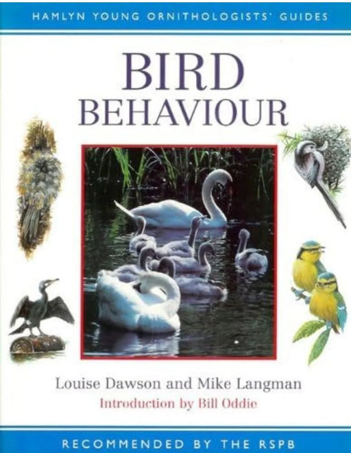 Bird Behaviour (Hamlyn Young Ornithologists' Guides) by Louise Dawson - old hardcover - eLocalshop