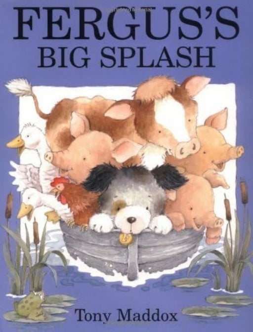 Fergus's Big Splash by Tony Maddox - eLocalshop