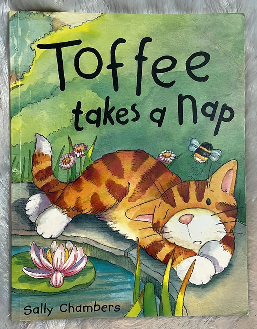 Toffee takes a nap by Sally Chambers - eLocalshop