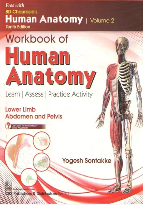 BD CHAURASIA'S HUMAN ANATOMY WITH DUE PART [VOLUME - 2] - eLocalshop