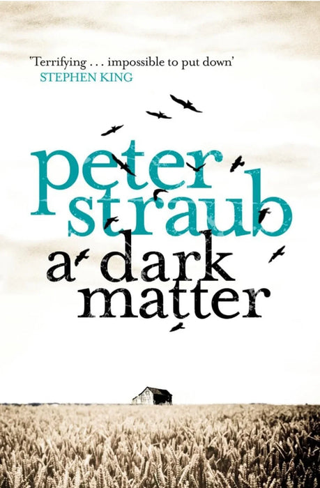 A Dark matter by Peter Straub