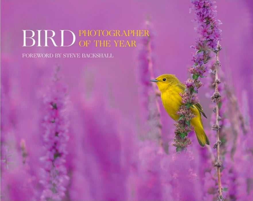 Bird Photographer of the Year: Collection 7 (Bird Photographer of the Year, 7)