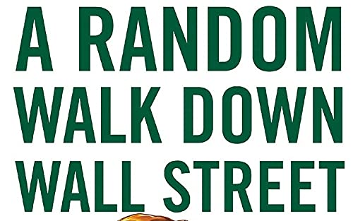A Random Walk Down Wall Street: The Time-Tested Strategy for Successful Investing Paperback