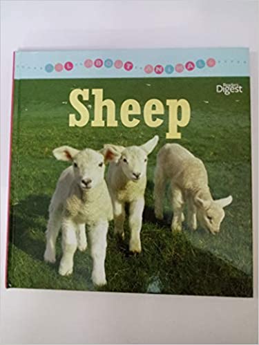Sheep Boardbook - eLocalshop