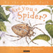 Are You a Spider? (Up the Garden Path S.) Paperback - eLocalshop