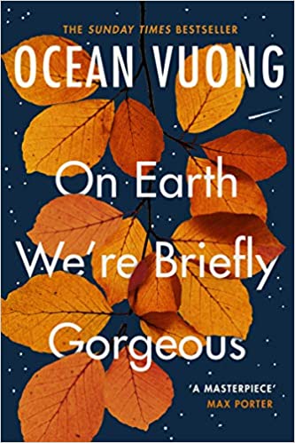 On Earth We're Briefly Gorgeous Paperback - eLocalshop