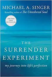 The Surrender Experiment (Lead Title): My Journey into Life's Perfection Paperback - eLocalshop