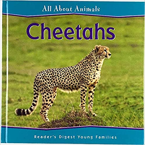 Cheetahs book  Hardcover