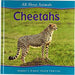 Cheetahs book  Hardcover - eLocalshop