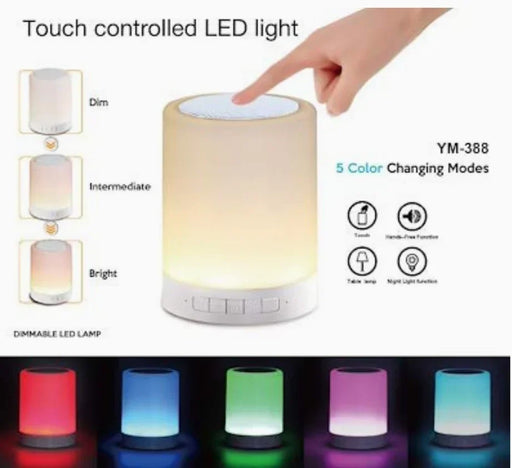 CL-671 Touch LAMP Intelligent Portable Speaker - eLocalshop
