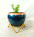 Metal Planter Pot with Gold Stand, Set of 1, Modern Style Planter Set, Indoor Outdoor Home Decor Item for Garden Plants - eLocalshop