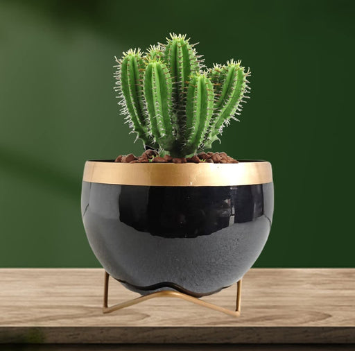 Black Metal Planter Pot with Gold Stand, Set of 1, Modern Style Planter Set, Indoor Outdoor Home Decor - eLocalshop