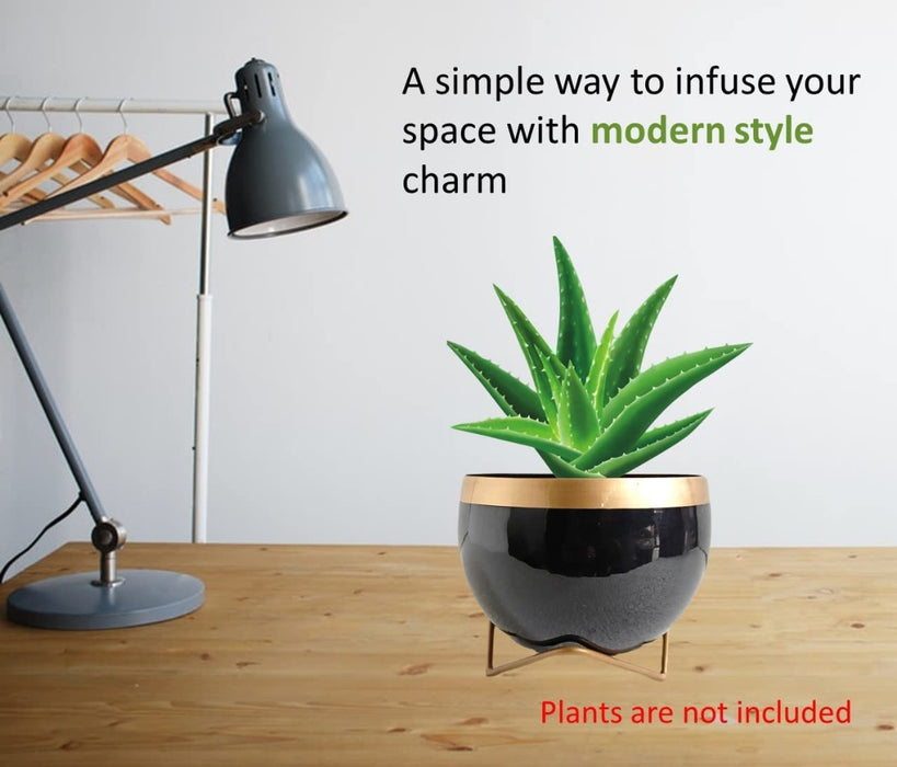 Black Metal Planter Pot with Gold Stand, Set of 1, Modern Style Planter Set, Indoor Outdoor Home Decor - eLocalshop