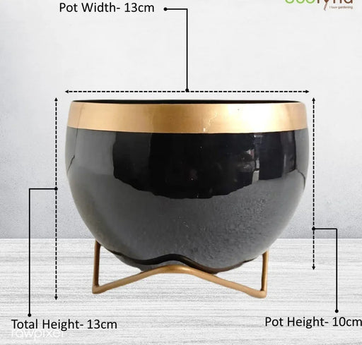 Black Metal Planter Pot with Gold Stand, Set of 1, Modern Style Planter Set, Indoor Outdoor Home Decor - eLocalshop