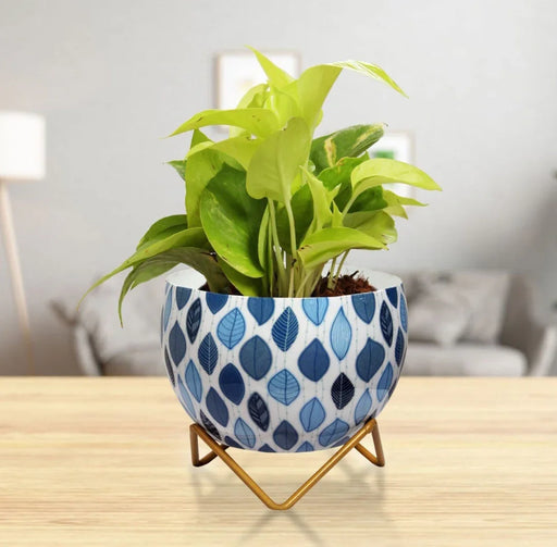 Decorative Metal Planter with Stand for Indoor Plants - eLocalshop